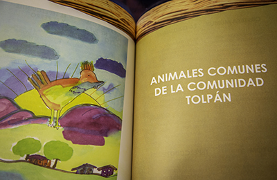 Image of Honduran children's book