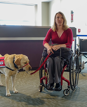 Image of woman in a wheelchair with a guide dog in an airport